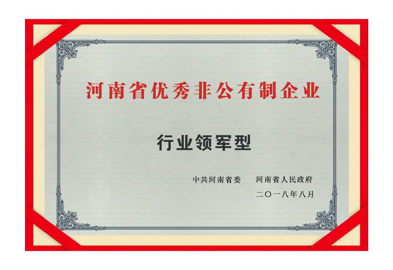 行业领军型企业